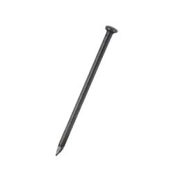 Chiodi acciaio tesa bombata Mm.3.5x60 Kg.1