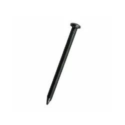 Chiodi acciaio testa bombata Mm.2,0x30 Pz.100