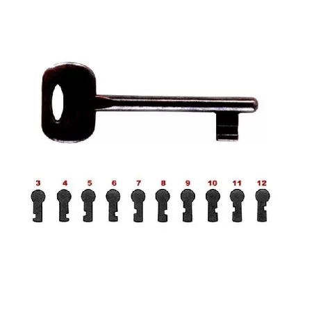 Chiave Passepartout, Patent Nr.3 - 103