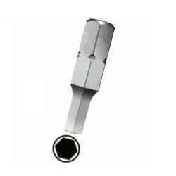 Inserto per viti  cave esagonali Mm.25 specifica Mm.6,0