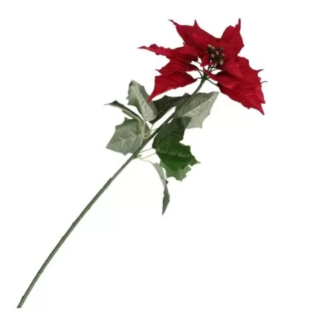 Stella di Natale - Thun