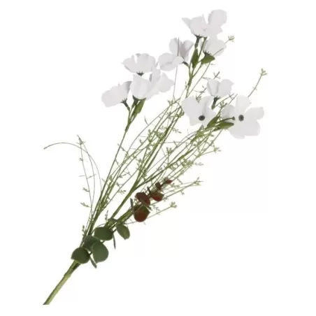 Alstroemeria bianca - Thun