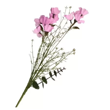 Alstroemeria rosa - Thun