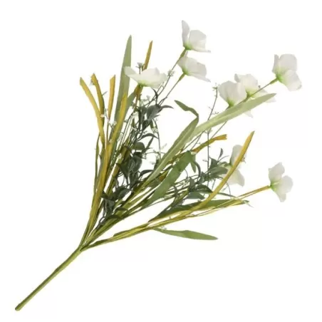 Cosmea bianca - Thun