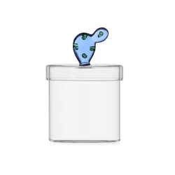 Desert plants, Box cactus blu - Ichendorf