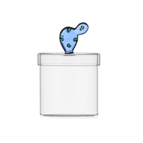 Desert plants, Box cactus blu - Ichendorf