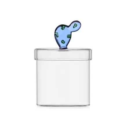 Desert plants, Box cactus blu - Ichendorf