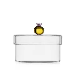 Desert plants, Scatola cactus ambra - Ichendorf