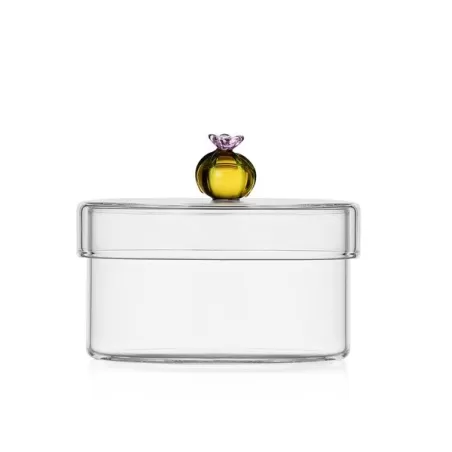 Desert plants, Scatola cactus ambra - Ichendorf