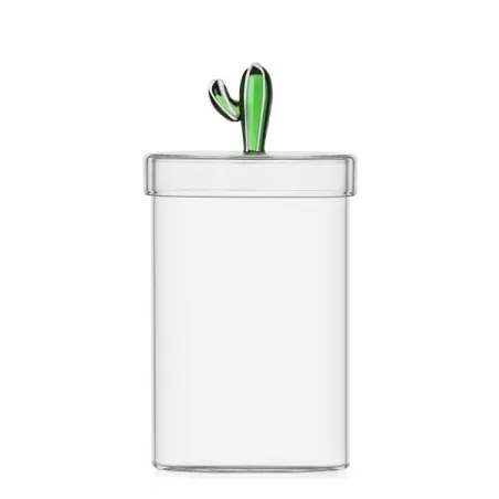 Desert plants, Scatola cactus verde - Ichendorf