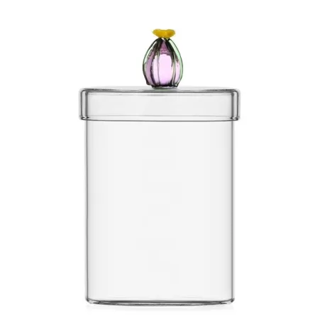 Desert plants, Scatola cactus fiore rosa - Ichendorf