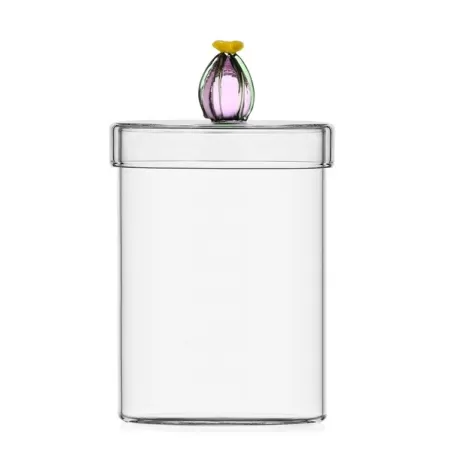 Desert plants, Scatola cactus fiore rosa - Ichendorf