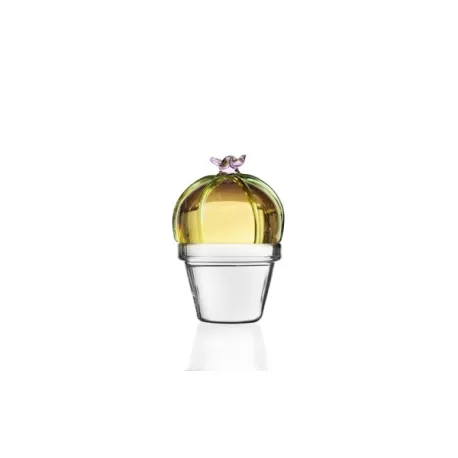 Desert plants, Fermacarte cactus fiore rosa - Ichendorf