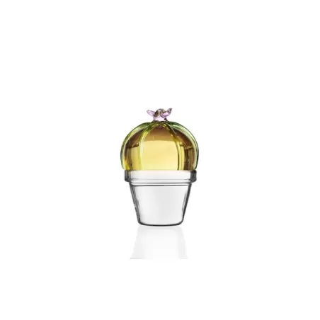 Desert plants, Fermacarte cactus fiore rosa - Ichendorf