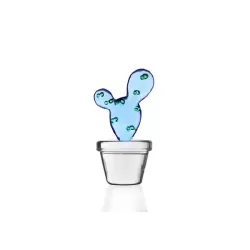 Desert plants, Fermacarte cactus blu - Ichendorf