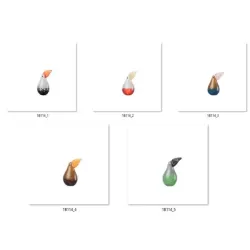 Press-Papier Tucano - Set 5 pezzi Cm. 8,5x6,5x13,5 h. - L'oca Nera