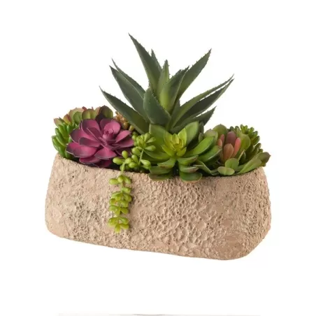 Composizione piante grasse Cm. 28x18x23 h. - L'oca Nera