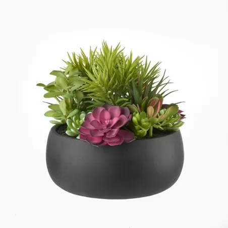 Composizione piante grasse Cm. 24x25 h. - L'oca Nera