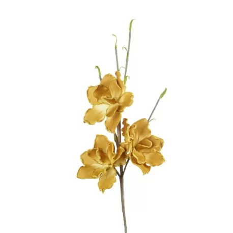 Magnolia Grandiflora Senape Cm. 80 h. - L'oca Nera