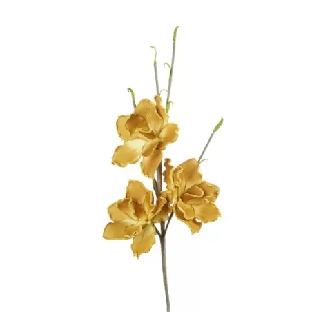 Magnolia Grandiflora Senape Cm. 80 h. - L'oca Nera