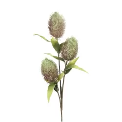 Protea Nitida Verde Cm. 92 h. - L'oca Nera