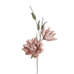 Magnolia Liliiflora rosa Cm. 94 h. - L'oca Nera