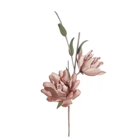 Magnolia Liliiflora rosa Cm. 94 h. - L'oca Nera