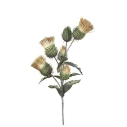 Cardo Silvestre nocciola Cm. 90 h. - L'oca Nera