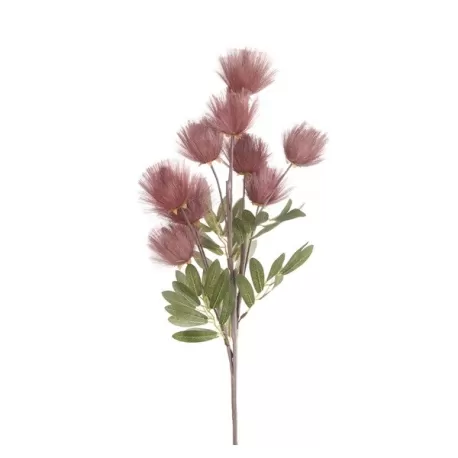 Callistemone Citrinus rosa antico Cm. 92 h. - L'oca Nera