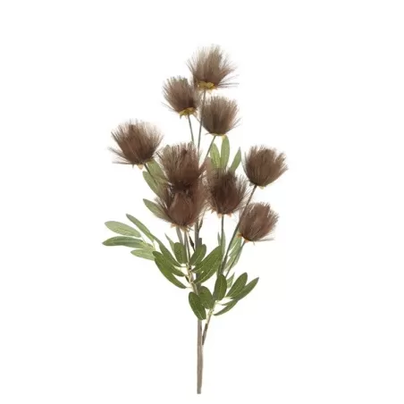 Callistemone Citrinus bronzo Cm. 92 h. - L'oca Nera