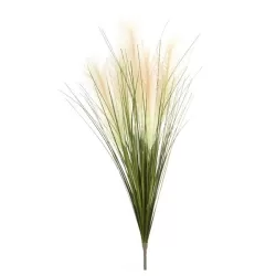 Erba della Pampas Cm. 108 h. - L'oca Nera