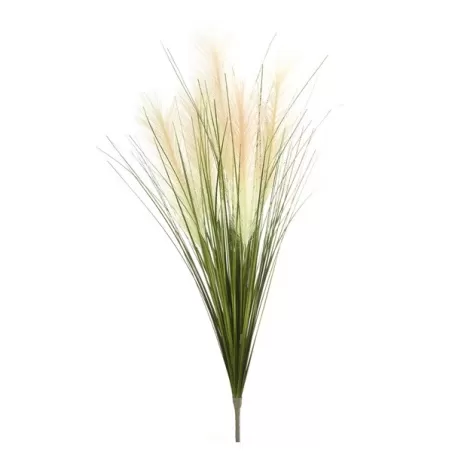 Erba della Pampas Cm. 108 h. - L'oca Nera