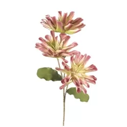 Zinia rosa Cm. 93 h. - L'oca Nera