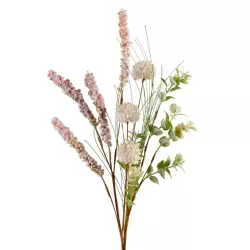 Astilbe Cm. 55 h. - L'oca Nera