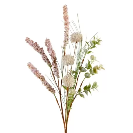 Astilbe Cm. 55 h. - L'oca Nera