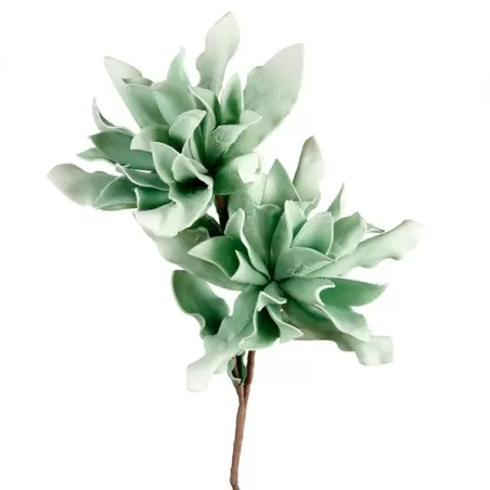 Agave verde antico Cm. 100 h. - L'oca Nera