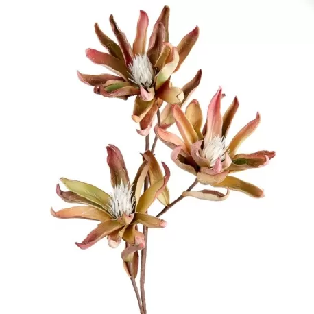 Calicanto Cm. 105 h. - L'oca Nera