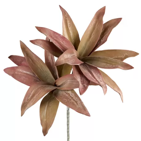 Aloe Selvatico viola Cm. 100 h. - L'oca Nera