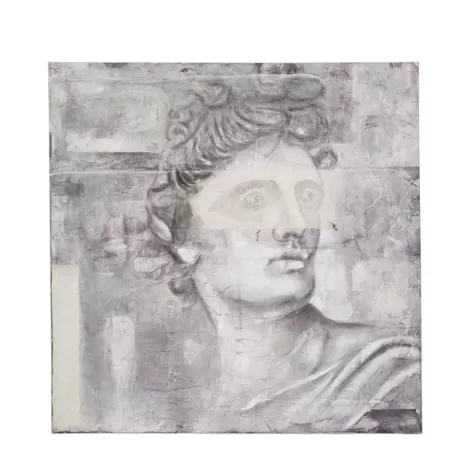 Quadro Cm. 100x100 - L'oca Nera