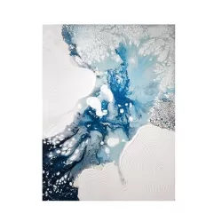 Quadro Cm. 90x120 - L'oca Nera