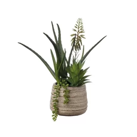 Composizione piante grasse piccola Cm. 14x33 h. - L'oca Nera