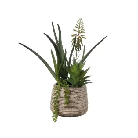 Composizione piante grasse piccola Cm. 14x33 h. - L'oca Nera