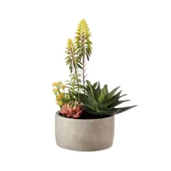 Composizione piante grasse grande Cm. 20x42 h. - L'oca Nera