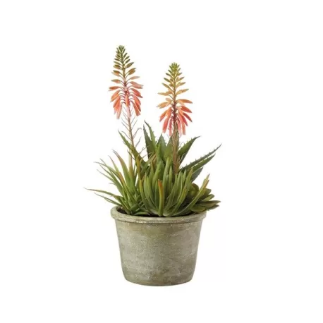 Composizione piante grasse grande Cm. 16x38 h. - L'oca Nera