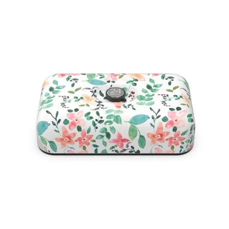 Lunchbox, Little Buds - 24Bottles