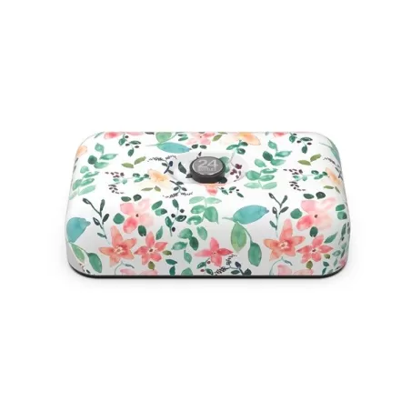 Lunchbox, Little Buds - 24Bottles