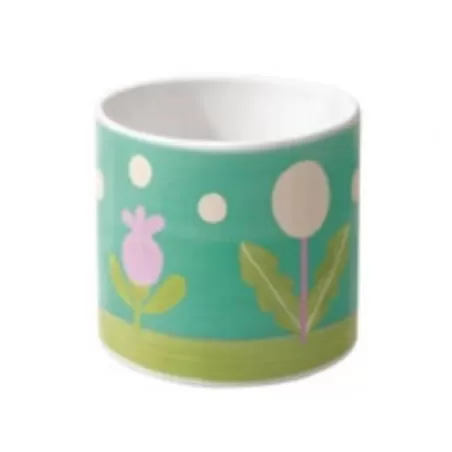 Coprivaso in gres Florianne primavera, medio - Thun