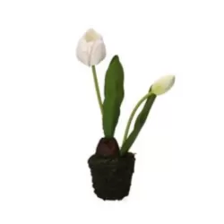 Tulipano bianco S - Thun