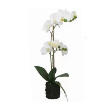 Orchidee bianche M - Thun