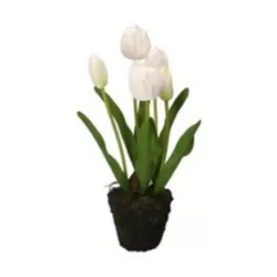 Tulipano bianco M - Thun